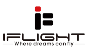                         Logo entreprise :
                      IFLIGHT.png